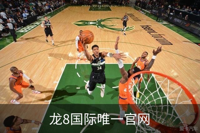 龙8国际唯一官网公司简介
